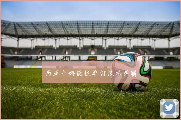 西亚卡姆低位单打技术拆解