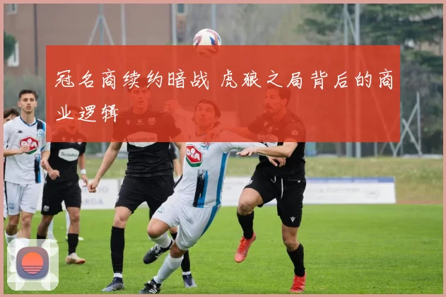 冠名商续约暗战 虎狼之局背后的商业逻辑