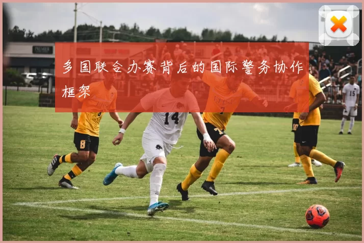 多国联合办赛背后的国际警务协作框架